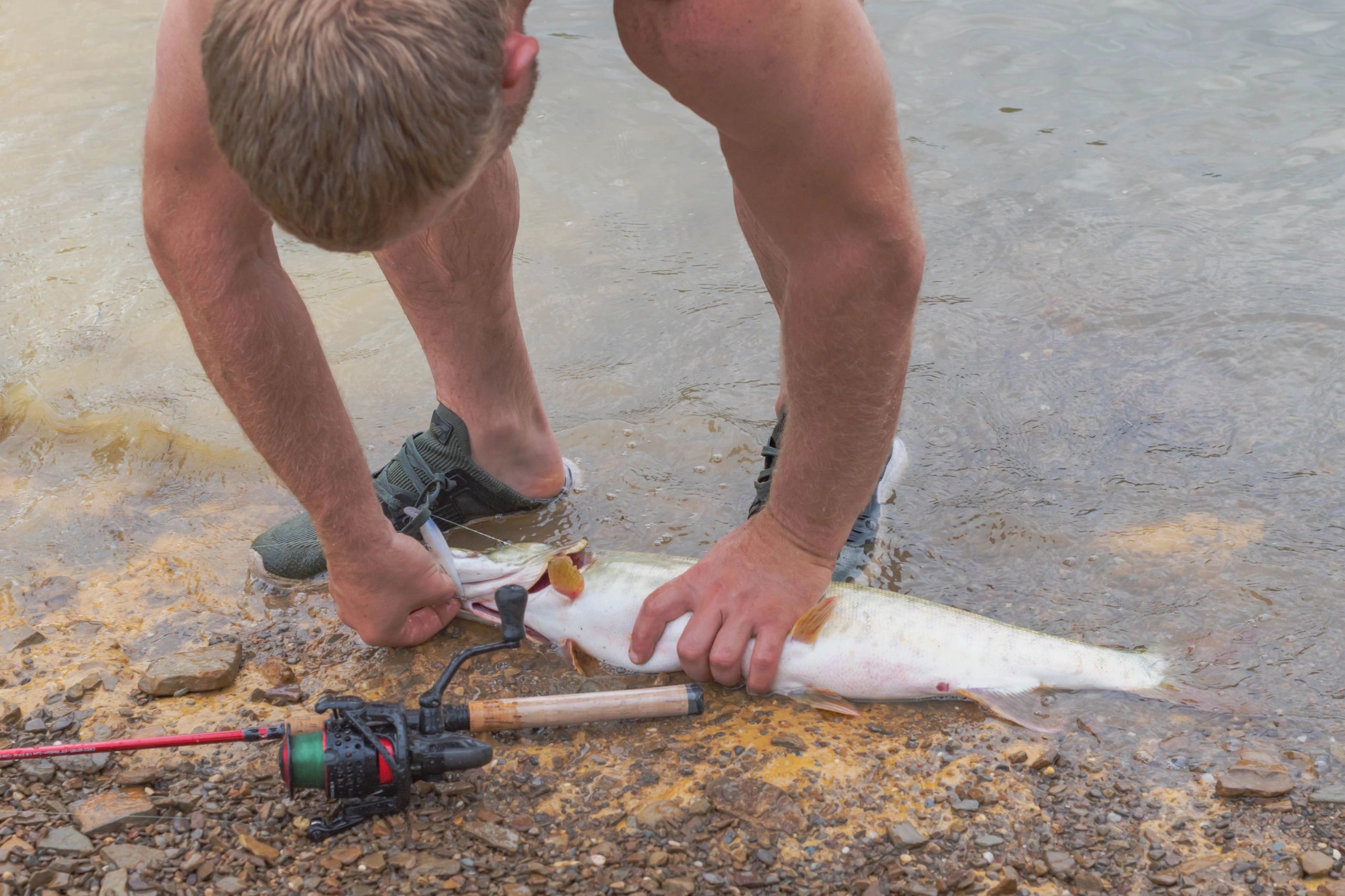Angler holding a large fish after a successful catch
